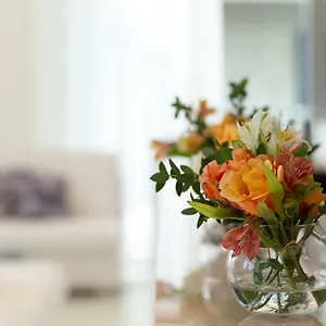 https://hotel-merano-rimini.emilia-romagnahotels.net