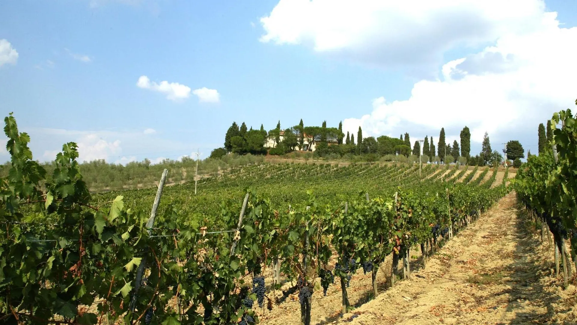 Agriturismo Pieve Sprenna Villa Buonconvento